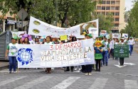 Ecuador en defensa y protección de la vida silvestre