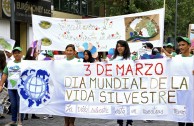 Ecuador en defensa y protección de la vida silvestre