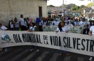 El Salvador se une a la celebración del Día Internacional de la Vida Silvestre