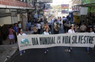 La Familia Humana celebrando el Día Internacional de la Vida Silvestre