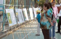 The GEAP in Mexico celebrates the World Wildlife Day where thousands of activists and volunteers marched bearing the message: “Let us save our Mother Earth's wildlife”