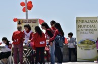 Argentinos celebraron el Día Nacional del Donante Voluntario de Sangre