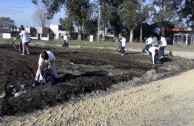 Argentinos realizan acciones en favor de la Madre Tierra