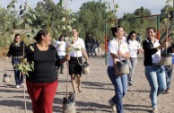 Argentinos realizan acciones en favor de la Madre Tierra