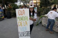 Con Desfile Y Parada Ambiental Celebran El” Dia Mundial De La Vida Silvestre” En Matamoros, Tamaulipas