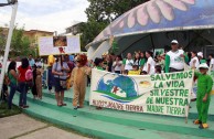 Desfile Y Parada Ambiental En Tabasco; El Mensaje Es: “Salvemos La Vida Silvestre De Nuestra Madre Tierra”