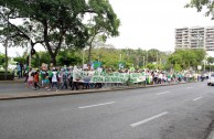 Desfile Y Parada Ambiental En Tabasco; El Mensaje Es: “Salvemos La Vida Silvestre De Nuestra Madre Tierra”