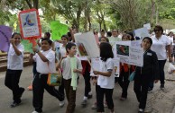 Con Desfile Y Parada Ambiental Celebran El” Dia Mundial De La Vida Silvestre” En Mérida Y Valladolid, Yucatán