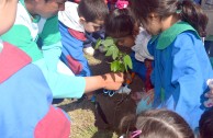 En Córdoba, Argentina el Proyecto Hijos de la Madre Tierra, creando una cultura ambientalista en niños de temprana edad