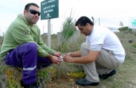 La EMAP planta 100 pinos en reserva natural 