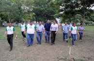Mexicanos liberan 100 tortugas en Veracruz