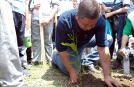 Mexicanos liberan 100 tortugas en Veracruz