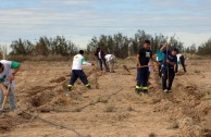 Argentina: Campañas y acciones que reconocen a la Madre Tierra como un Ser Vivo