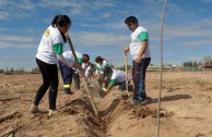 Argentina: Campañas y acciones que reconocen a la Madre Tierra como un Ser Vivo