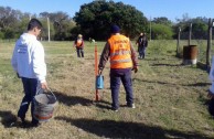 16 “pezuña de vaca” plants are planted in Resistencia, Chaco Argentina, in order to conserve the species