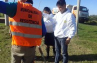 16 “pezuña de vaca” plants are planted in Resistencia, Chaco Argentina, in order to conserve the species