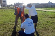 16 “pezuña de vaca” plants are planted in Resistencia, Chaco Argentina, in order to conserve the species