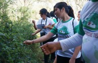 Argentina promueve el reconocimiento de la Madre Tierra como un ser vivo