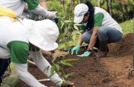 Gran movimiento mundial celebró la vida de la Madre Tierra y generó acciones por su paz y restauración