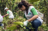 Puerto Ricans pay homage to Mother Earth and act for her protection and restoration