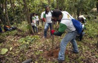 Puertorriqueños rinden homenaje a la Madre Tierra y accionan por su protección y restauración