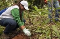 Puerto Ricans pay homage to Mother Earth and act for her protection and restoration