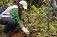 Puertorriqueños rinden homenaje a la Madre Tierra y accionan por su protección y restauración