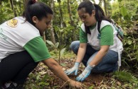 Puertorriqueños rinden homenaje a la Madre Tierra y accionan por su protección y restauración