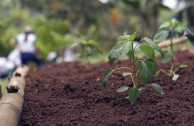 Puerto Ricans pay homage to Mother Earth and act for her protection and restoration