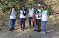 Activists for Peace in Costa Rica planted 50 native trees