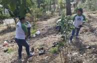 Activists for Peace in Costa Rica planted 50 native trees