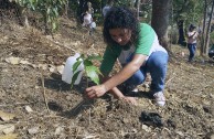 Gran movimiento mundial celebró la vida de la Madre Tierra y generó acciones por su paz y restauración