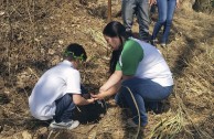 Gran movimiento mundial celebró la vida de la Madre Tierra y generó acciones por su paz y restauración