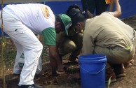 Gran movimiento mundial celebró la vida de la Madre Tierra y generó acciones por su paz y restauración