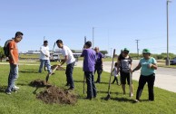 Guardianes por la Paz de la Madre Tierra en Estados Unidos rescatan áreas verdes