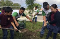 Guardianes por la Paz de la Madre Tierra en Estados Unidos rescatan áreas verdes