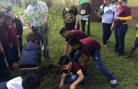 Guardianes por la Paz de la Madre Tierra en Estados Unidos rescatan áreas verdes