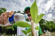 Gran movilización ambiental en Bolivia por la celebración del Día Internacional de la Madre Tierra