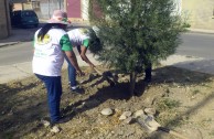 Gran movilización ambiental en Bolivia por la celebración del Día Internacional de la Madre Tierra