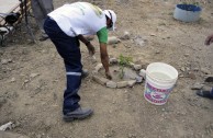 Gran movilización ambiental en Bolivia por la celebración del Día Internacional de la Madre Tierra