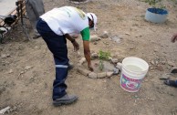 Gran movilización ambiental en Bolivia por la celebración del Día Internacional de la Madre Tierra