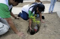 Gran movilización ambiental en Bolivia por la celebración del Día Internacional de la Madre Tierra