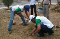 Gran movilización ambiental en Bolivia por la celebración del Día Internacional de la Madre Tierra