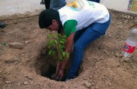 Gran movilización ambiental en Bolivia por la celebración del Día Internacional de la Madre Tierra