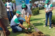 En honor a la Madre Tierra 3.586 árboles fueron sembrados en Colombia con una nueva visión ambiental