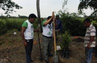 En honor a la Madre Tierra 3.586 árboles fueron sembrados en Colombia con una nueva visión ambiental