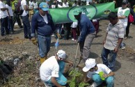 En honor a la Madre Tierra 3.586 árboles fueron sembrados en Colombia con una nueva visión ambiental