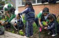 En honor a la Madre Tierra 3.586 árboles fueron sembrados en Colombia con una nueva visión ambiental