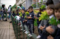 En honor a la Madre Tierra 3.586 árboles fueron sembrados en Colombia con una nueva visión ambiental