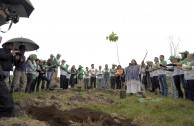 En honor a la Madre Tierra 3.586 árboles fueron sembrados en Colombia con una nueva visión ambiental